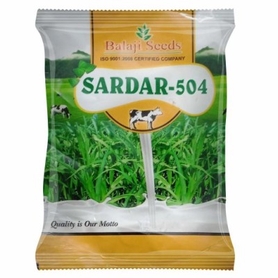 HY. SARDAR - 504